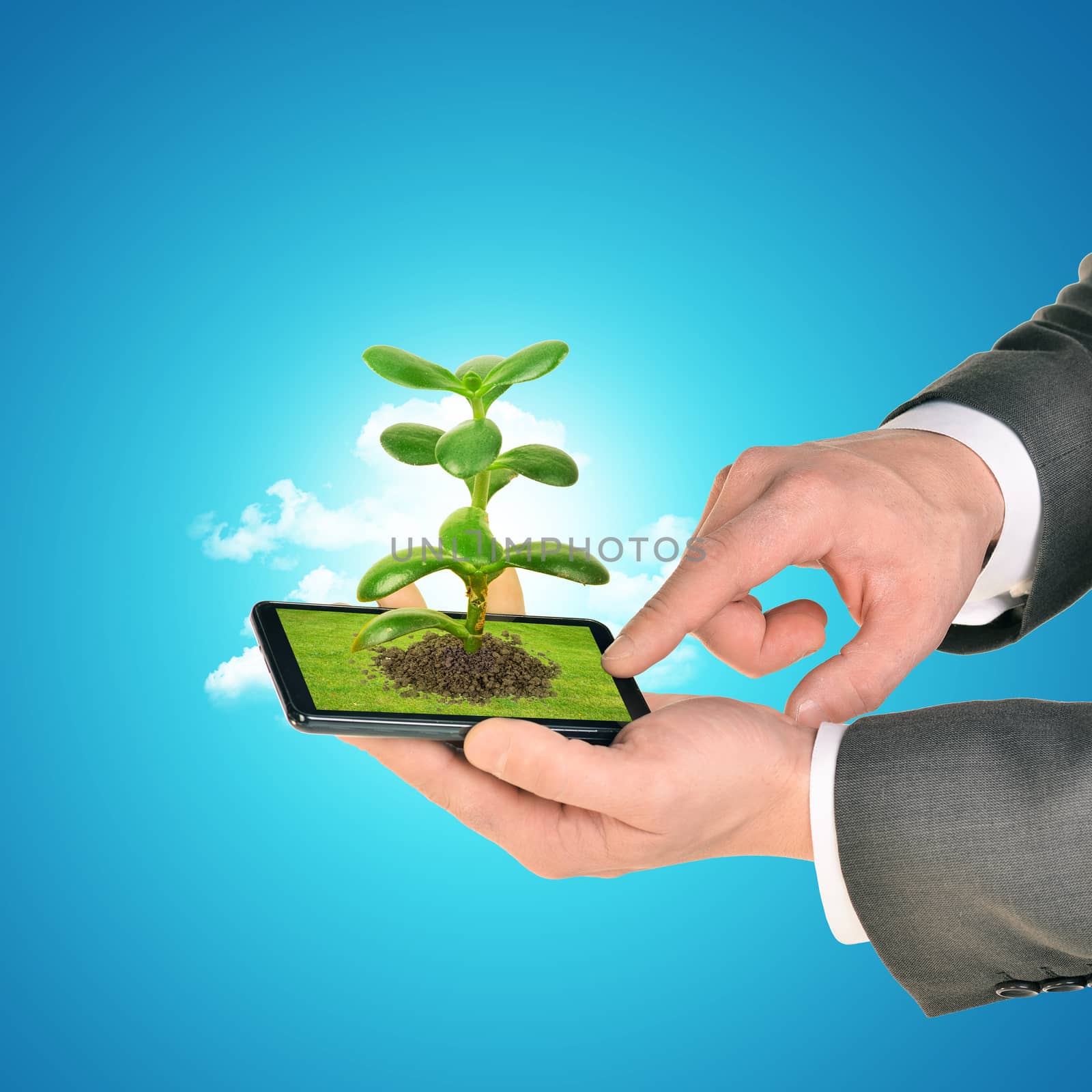 Businessman touching smartphone with plant on blue background