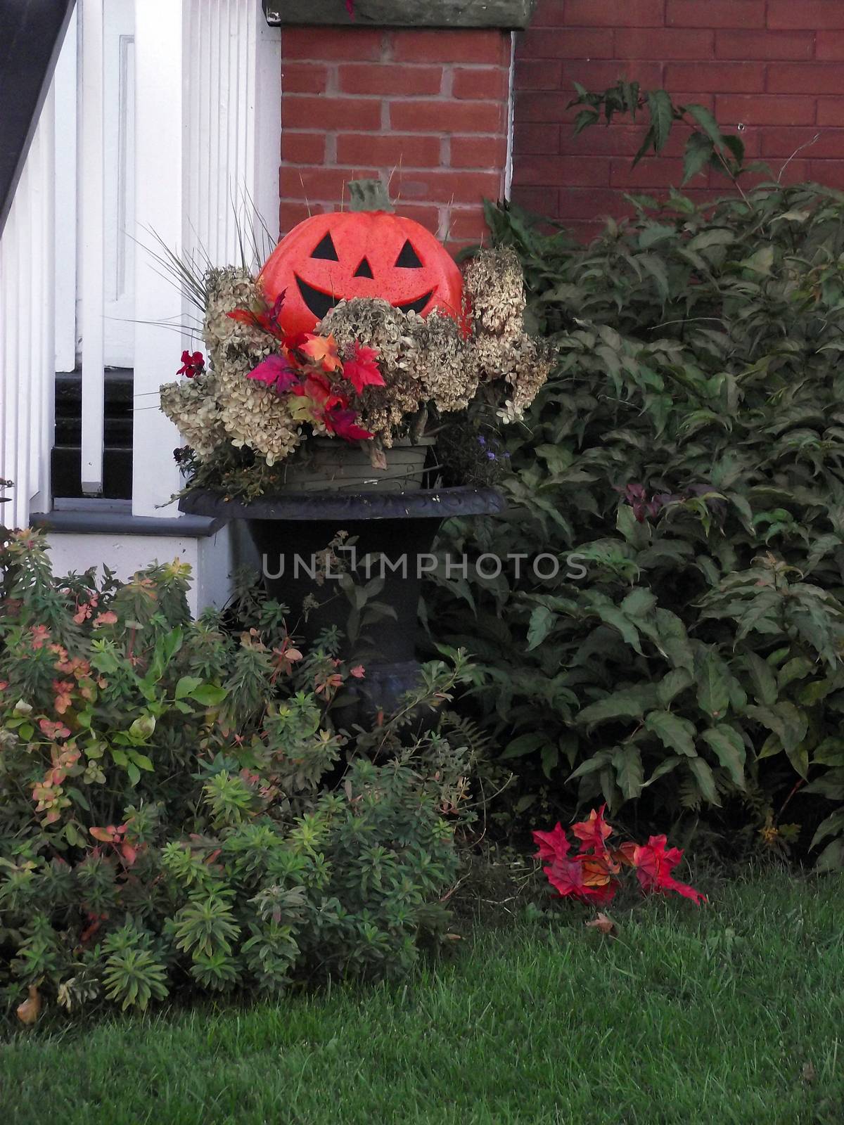 A pumpkin adds a little decor to the season of thanksgiving and Halloween.