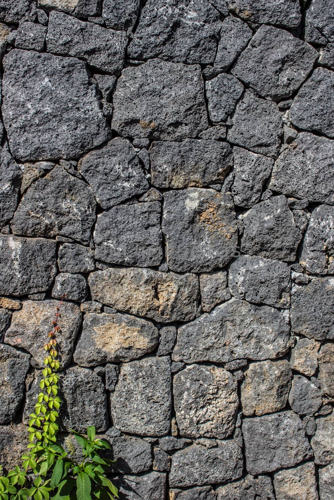 Volcanic Stone wall, useful for background.