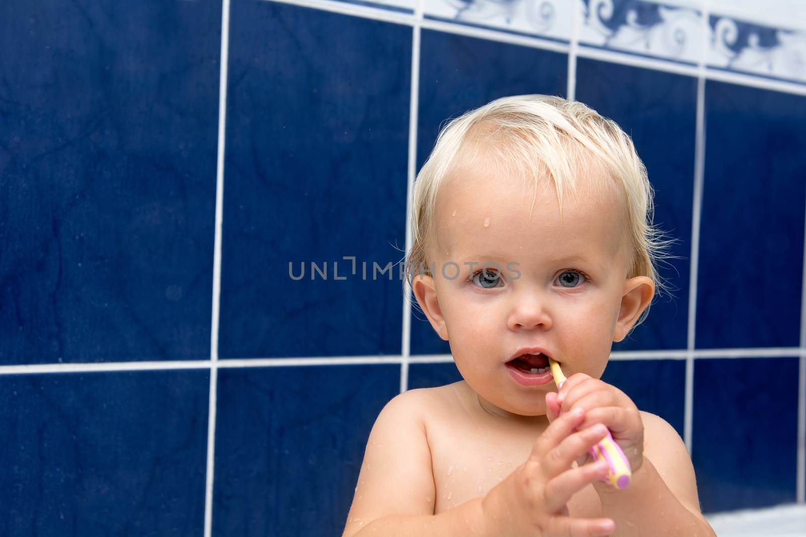 Little girl is brushing teeth in bathroom. Blue tiles behind. Looking at camera