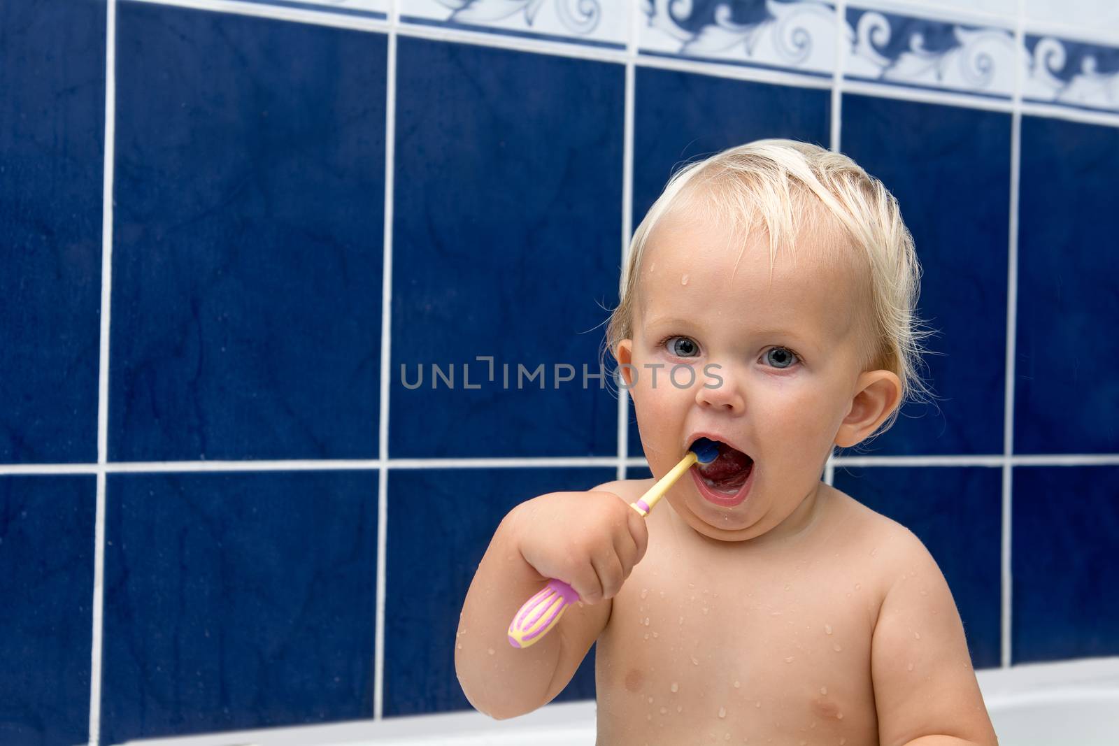 Little girl is brushing teeth in bathroom. Blue tiles behind. Looking at camera