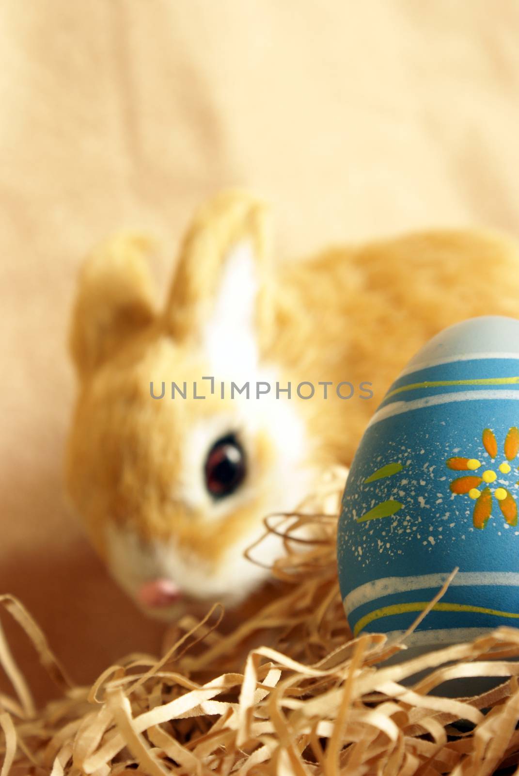 A closeup of a painted easter egg with a cute bunny in the background.