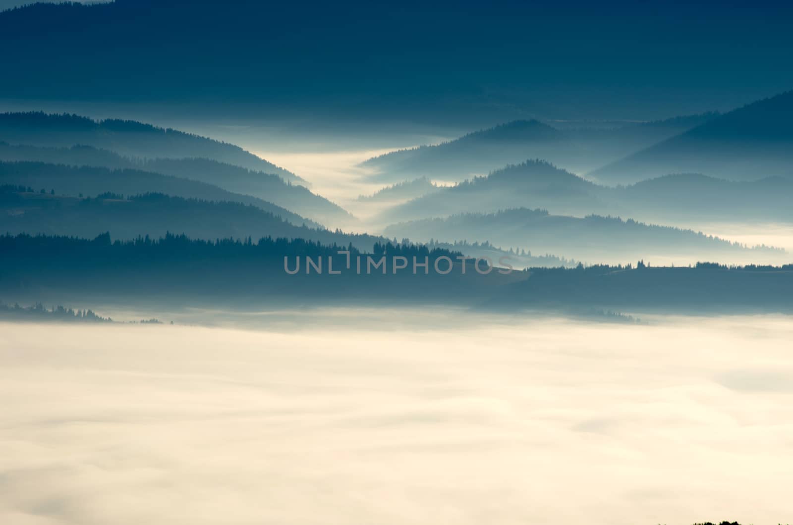 evening mountain plateau landscape (Carpathian, Ukraine)  by dolnikow