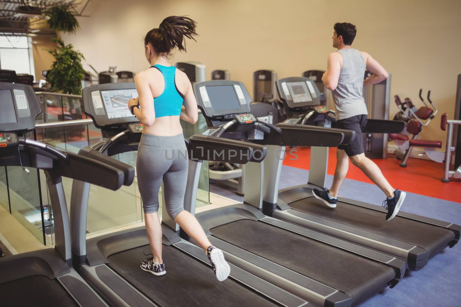 Fit people using the treadmill at the gym