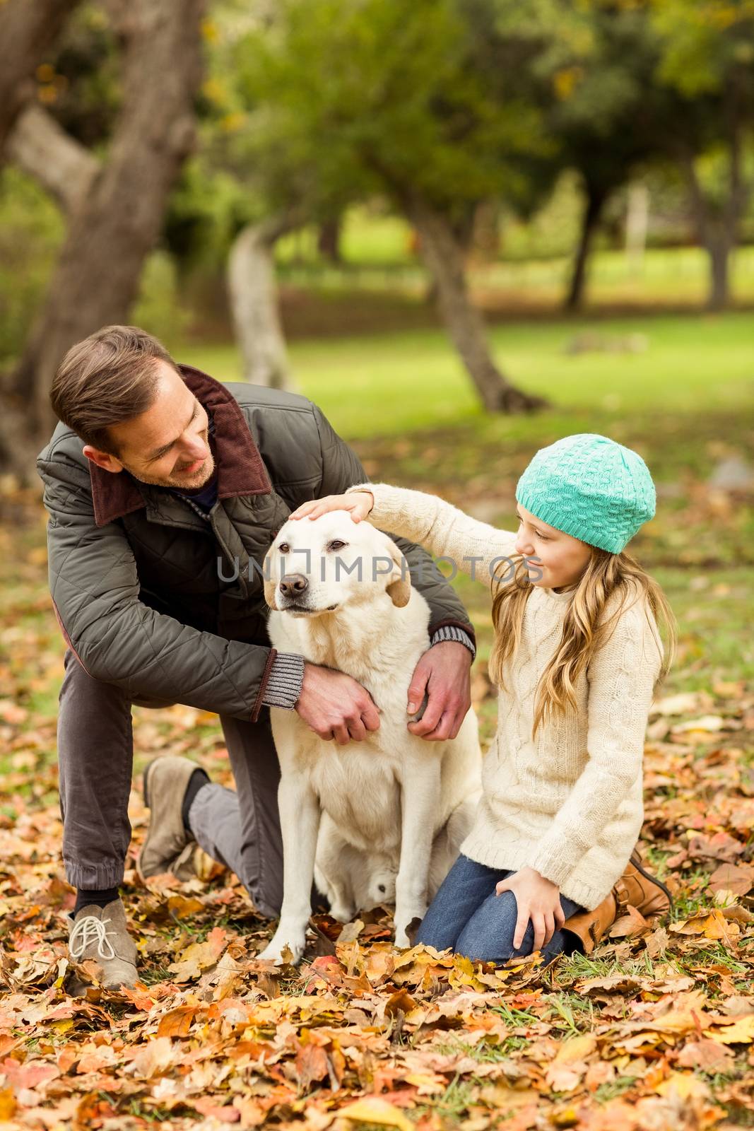 Young family with a dog on an autumns day