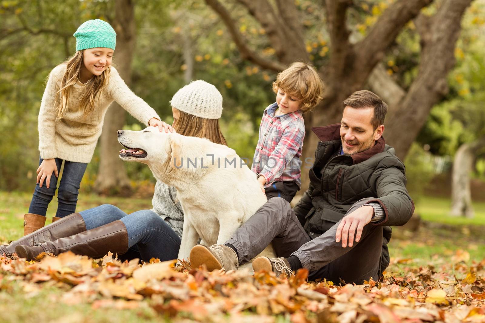 Young family with a dog on an autumns day