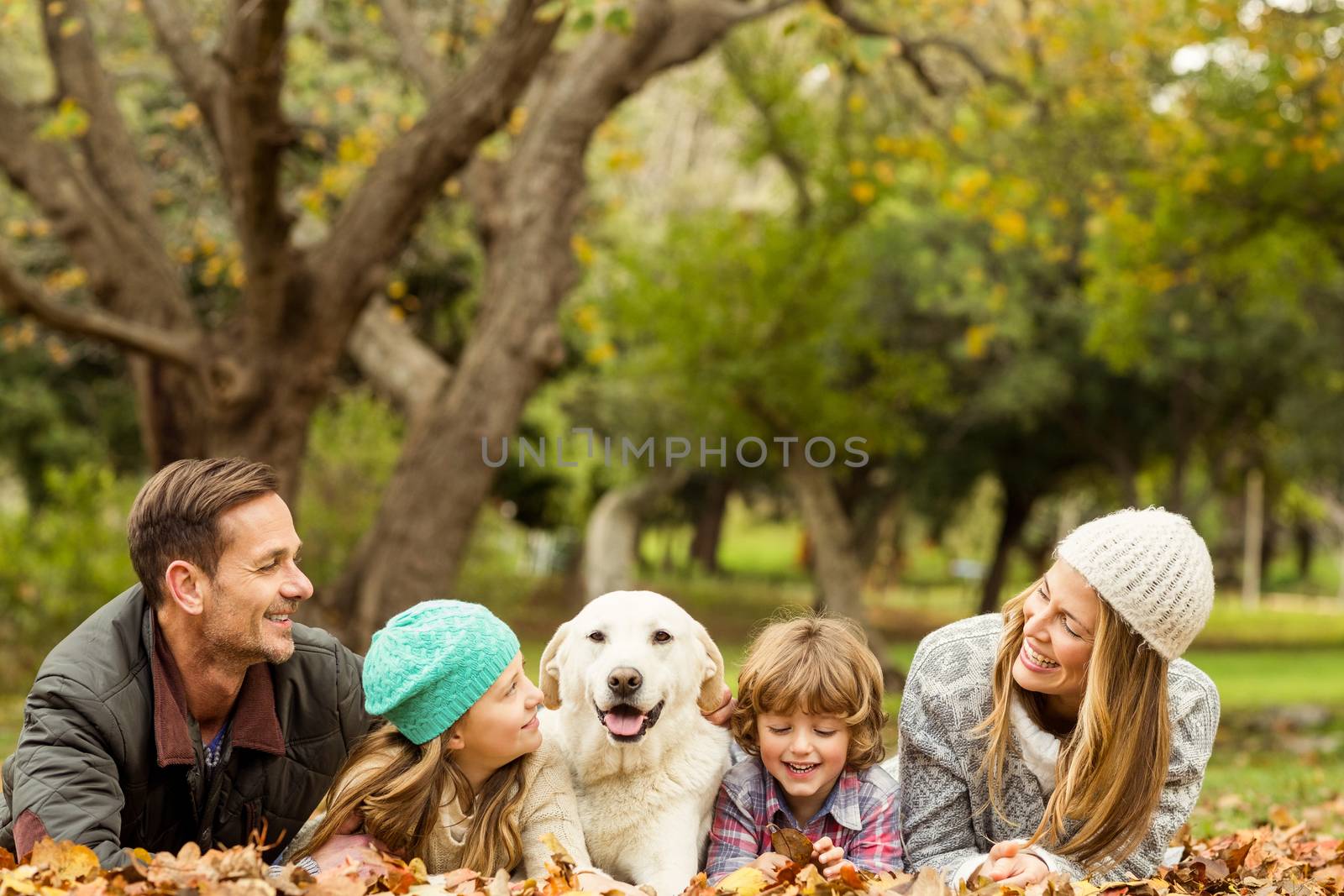 Young family with a dog on an autumns day