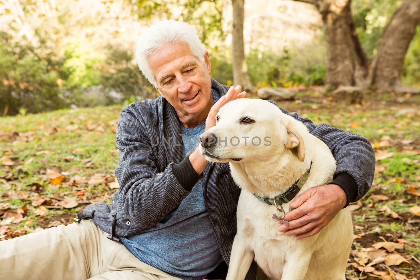 Senior man with his dog in park by Wavebreakmedia