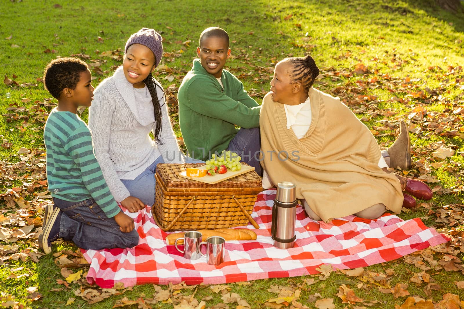 Happy family having a picnic  by Wavebreakmedia