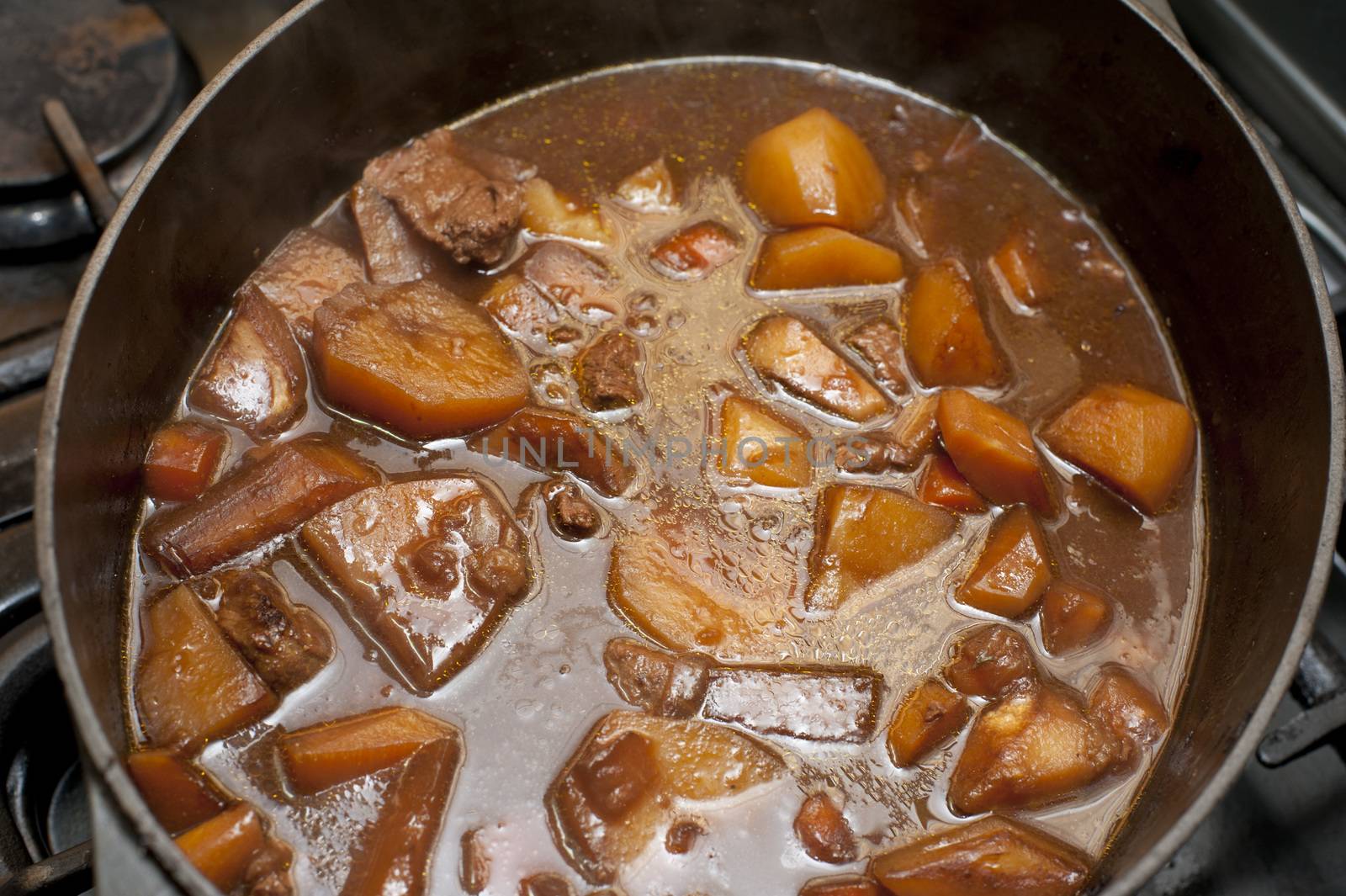 Tasty stew or hot pot with cubed lamb or beef in a rich gravy with carrots and potatoes, viewed from above in a pot ready for serving