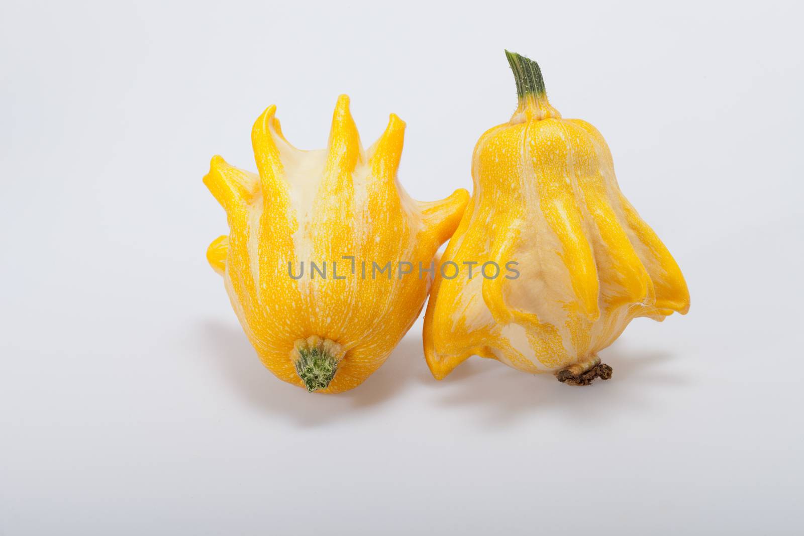 Decorative pumpkin isolated on white background 