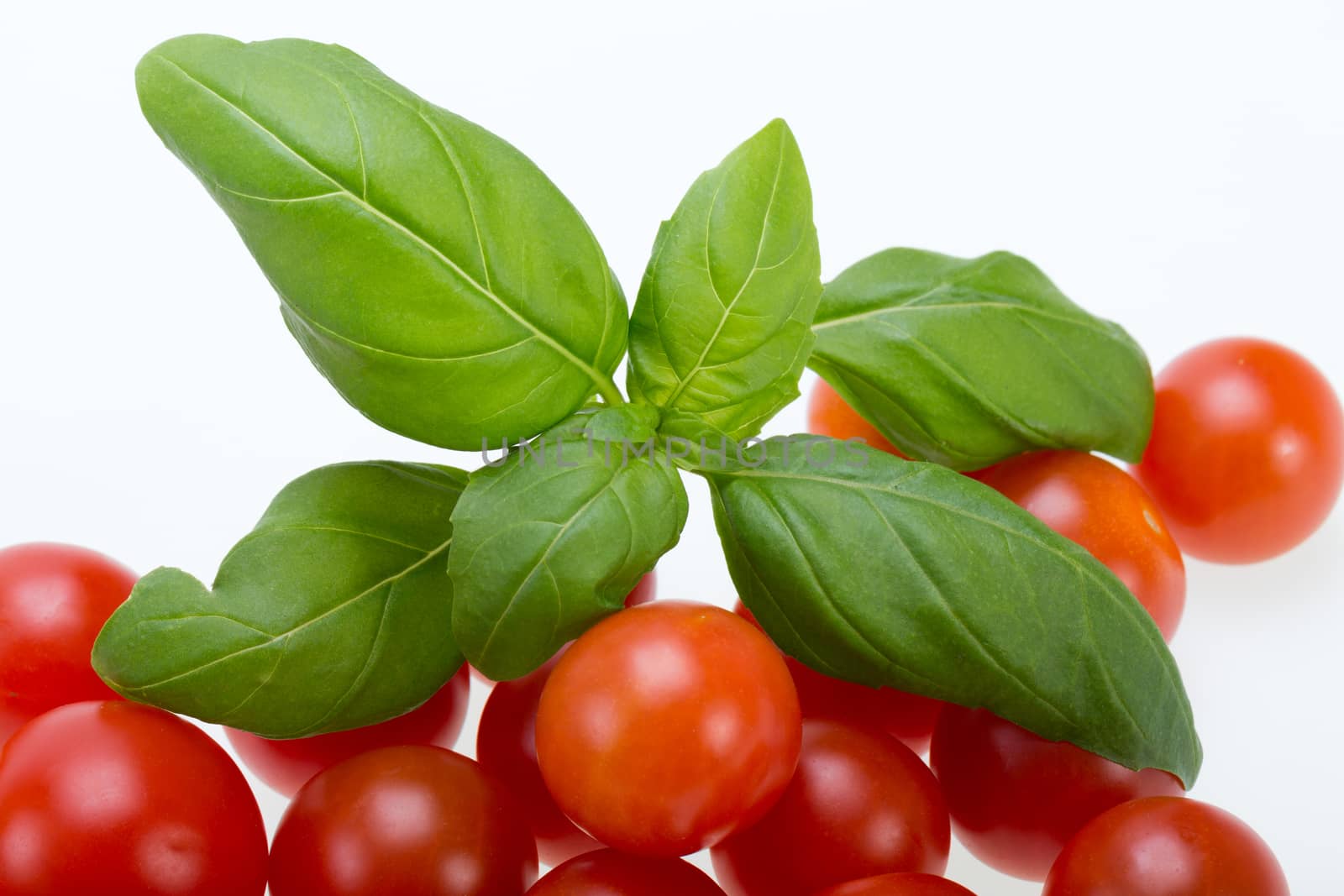  fresh cherry tomatoes with basil, on white background