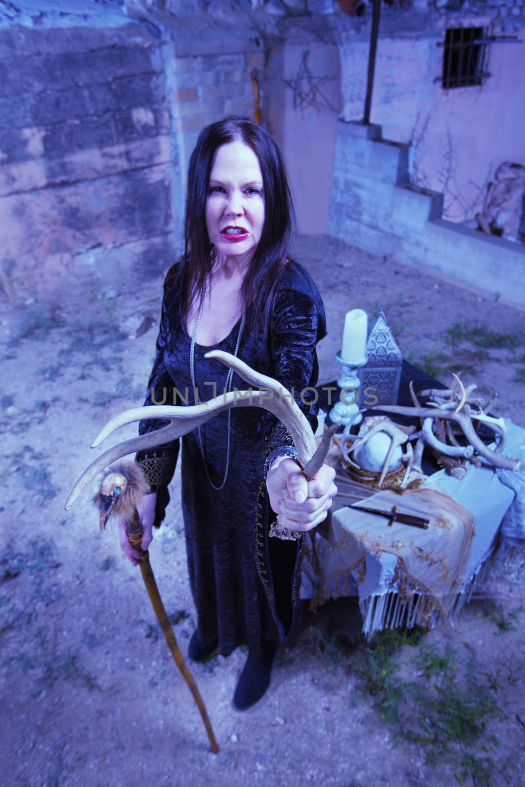 Cursing witch with animal fetish object near altar