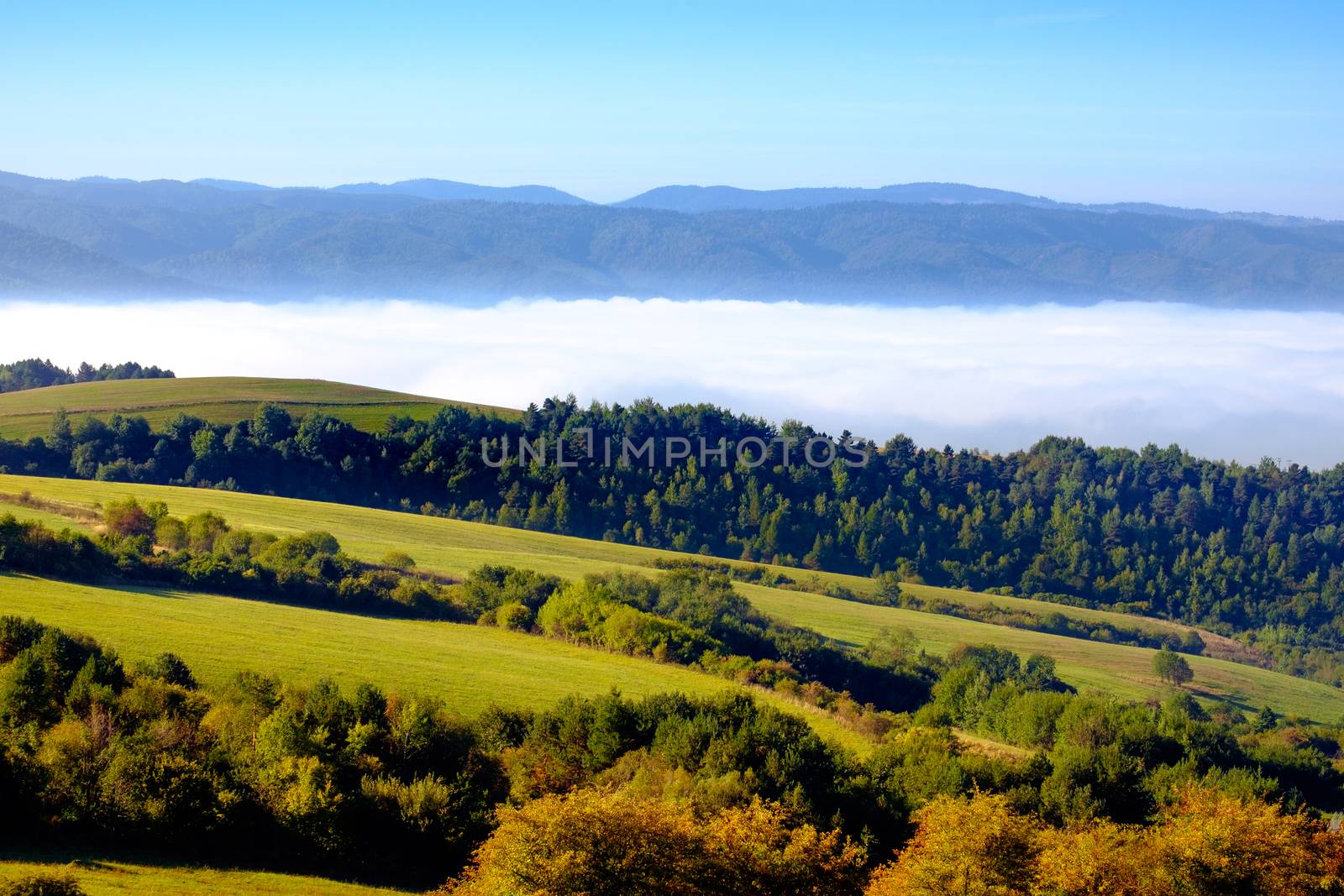 Landscape view of colorful meadows and hills in fall, Slovakia by martinm303
