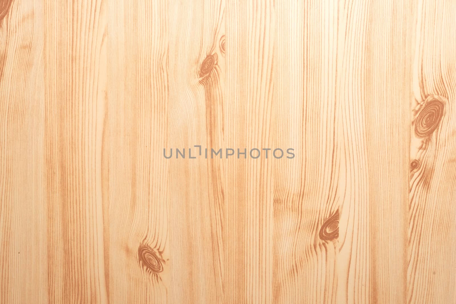 Texture of wood background closeup by DNKSTUDIO
