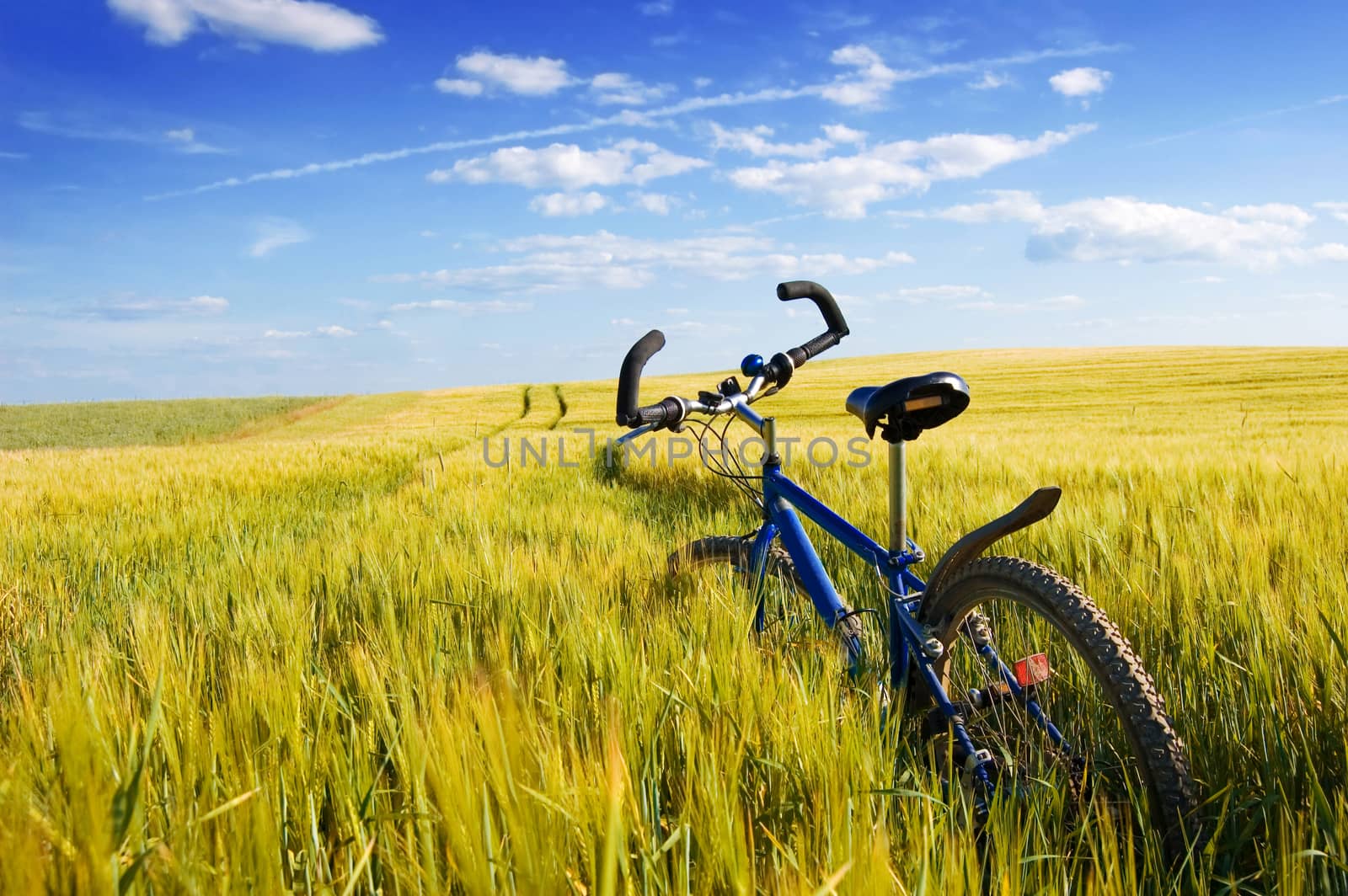 Travel conceptual image. Bike in green summer field.