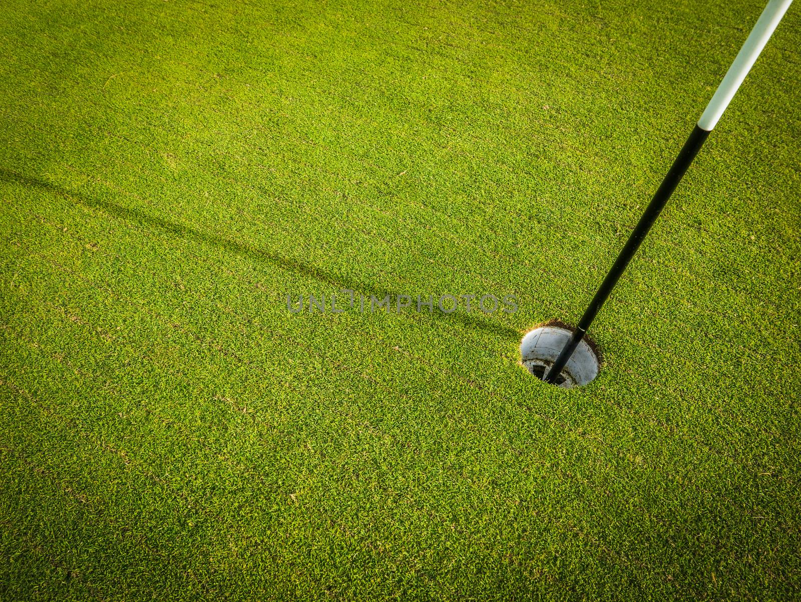 Detail Of A Hole On A Golf Course With Pole And Copy Space