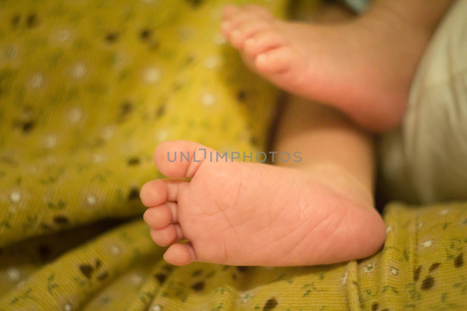 Closeup of newborn baby feet