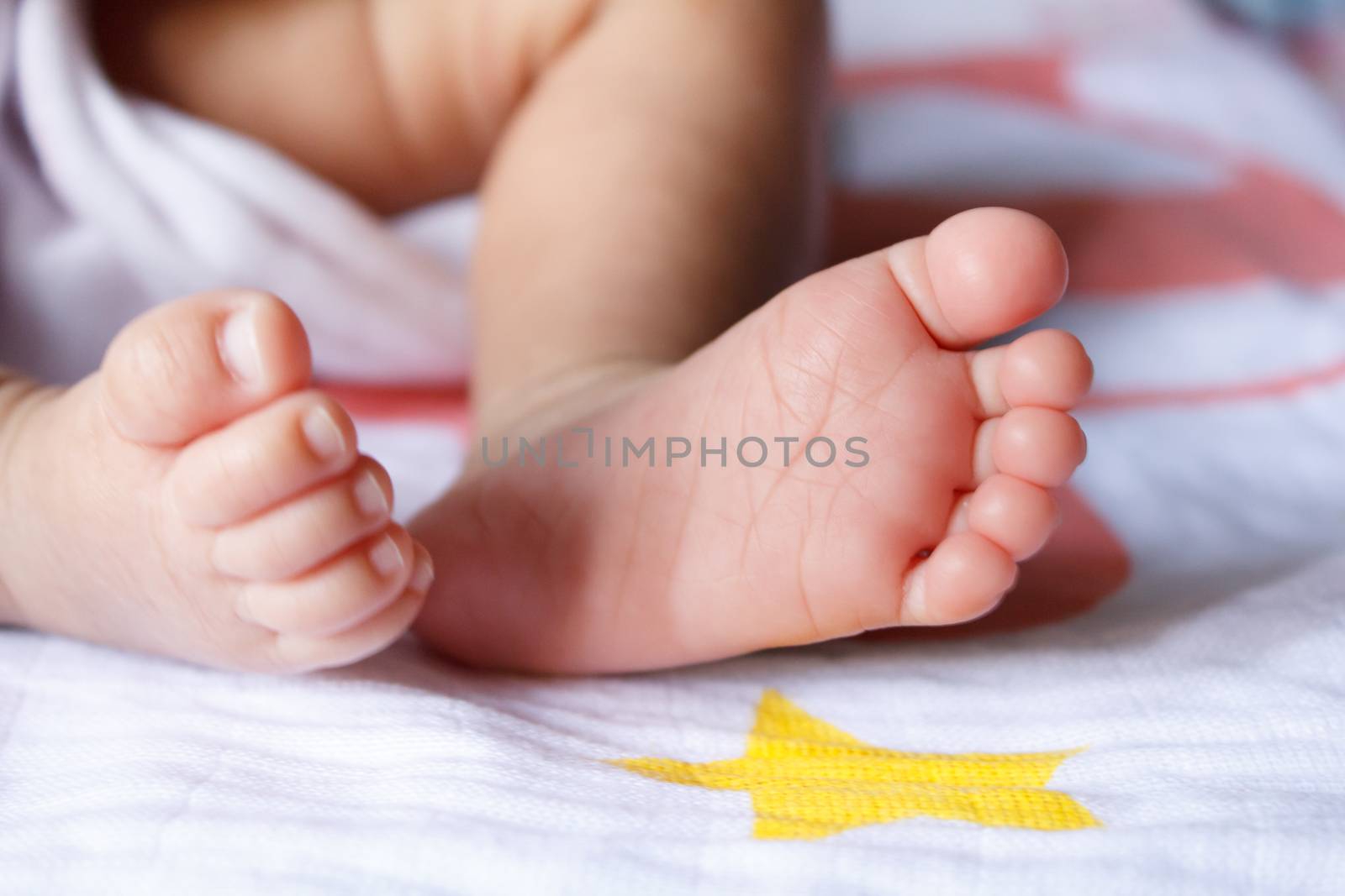 Closeup of newborn baby feet by letoakin