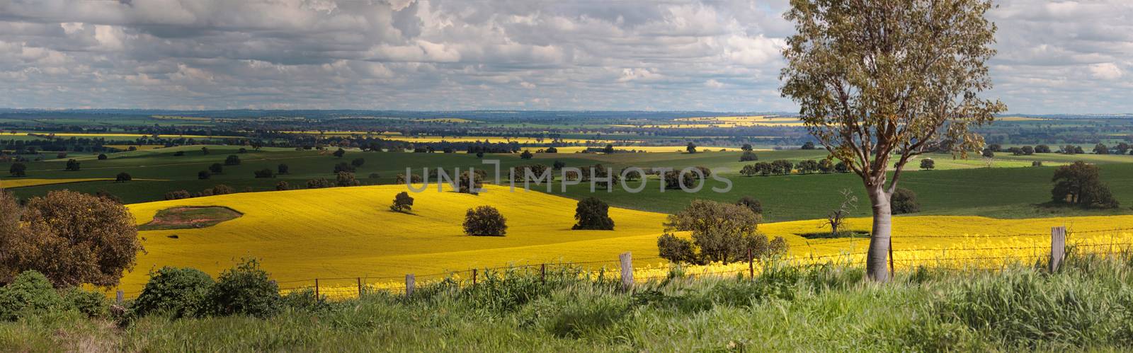 Rural farmlands panorama by lovleah