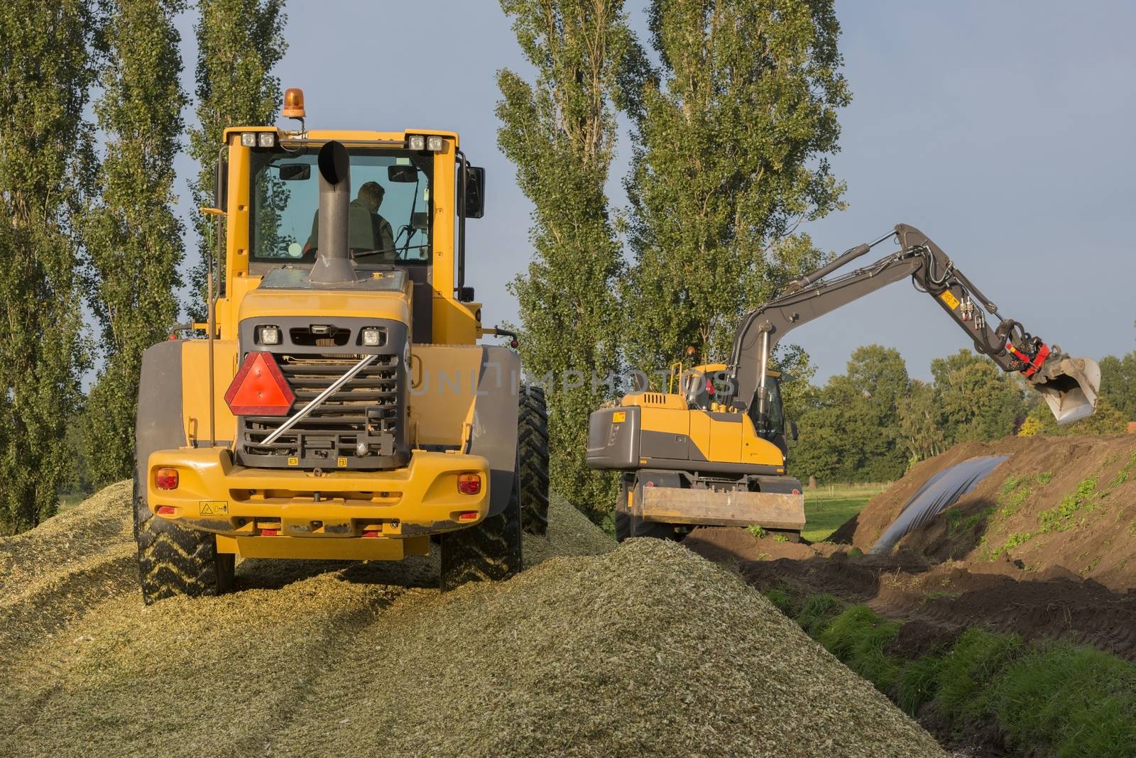Agriculture shredded corn silage with a yellow shovel and excavator in the Netherlands

