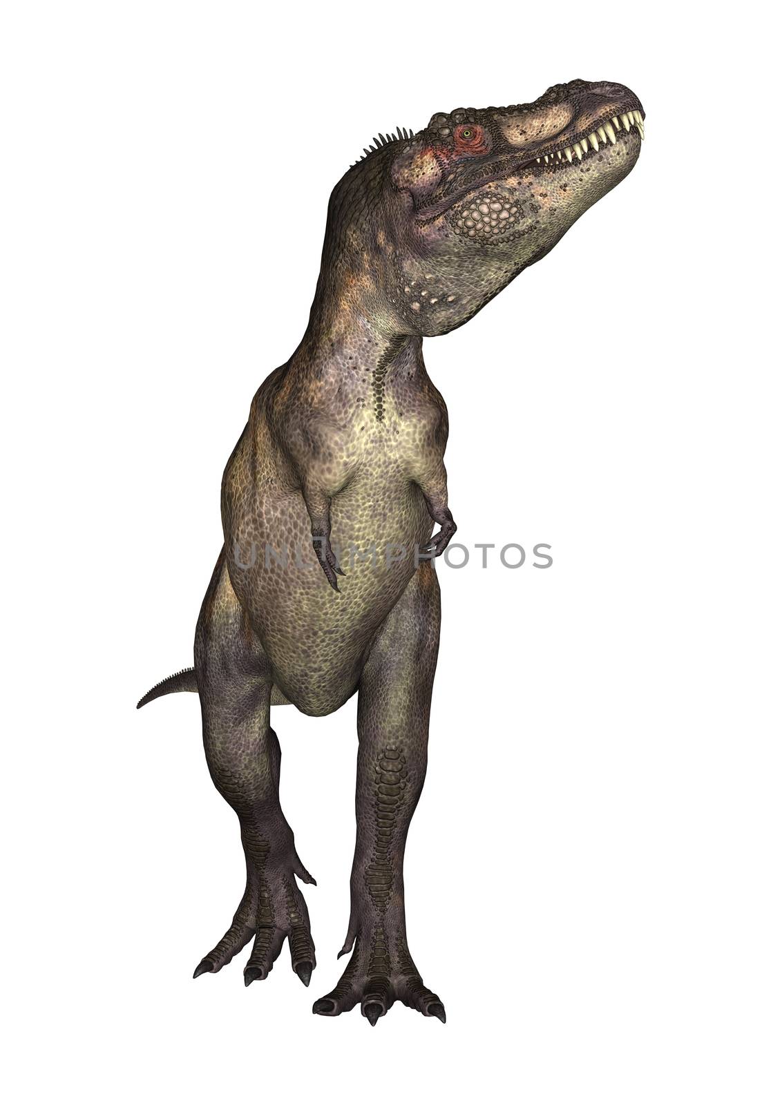 3D digital render of a dinosaur tyrannosaurus isolated on white background