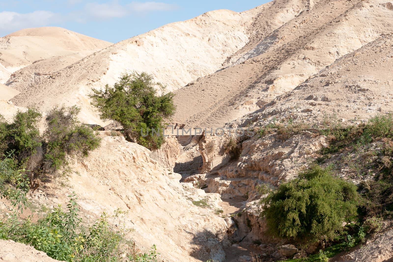 Hiking in judean desert by javax