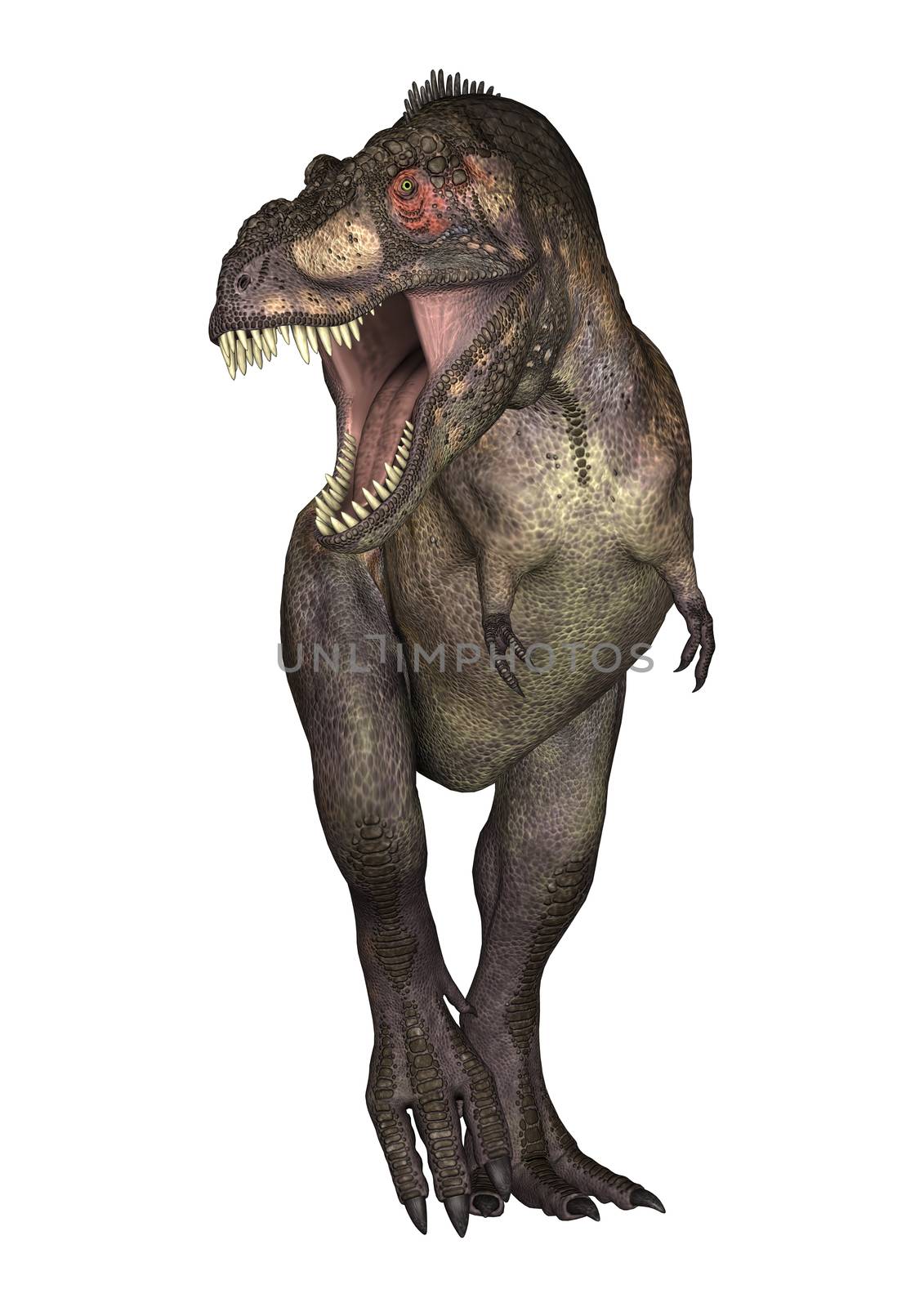 3D digital render of a dinosaur tyrannosaurus isolated on white background