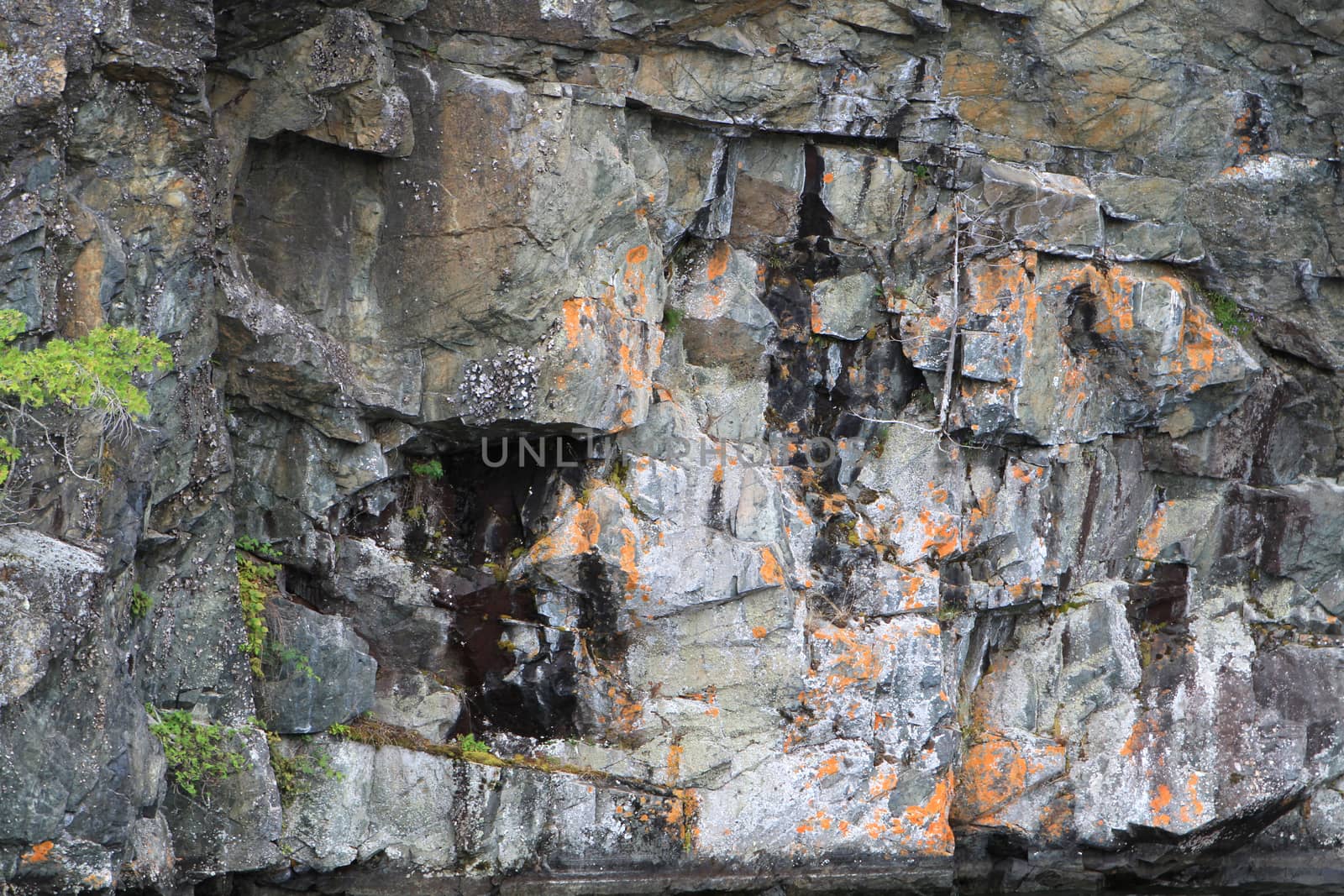 Lang Lake rock wall part of Ontario shield