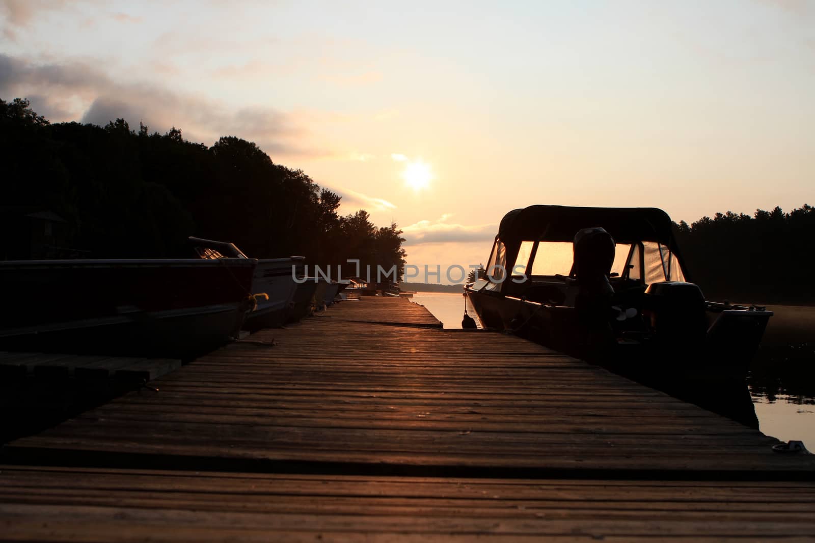 Morning sun on dock late summer light