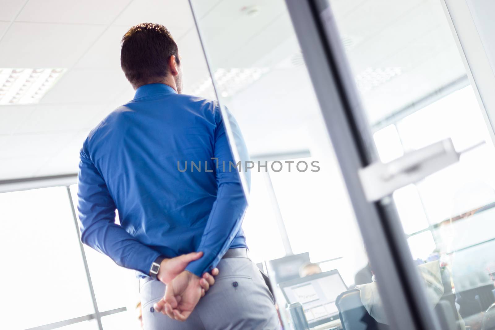 Business man making a presentation at office. Business executive delivering a presentation to his colleagues during meeting or in-house business training. Rear view. Business and entrepreneurship.