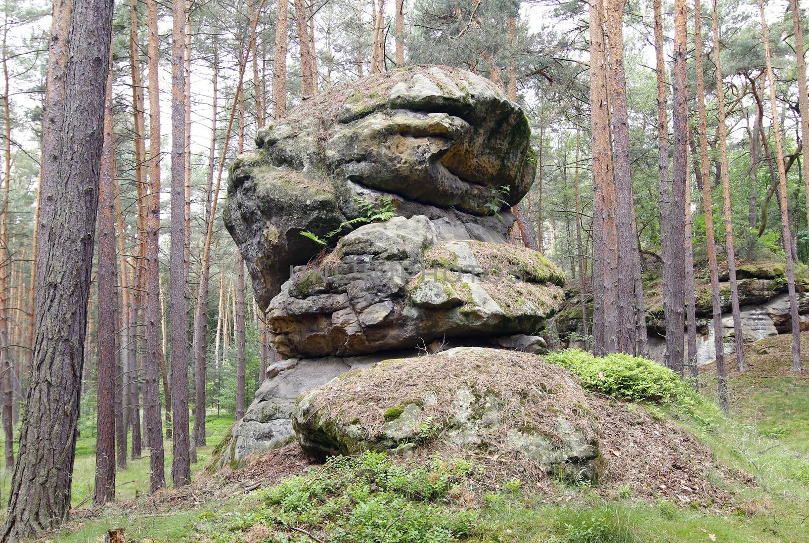 Rock Formation In The Forest by Mibuch