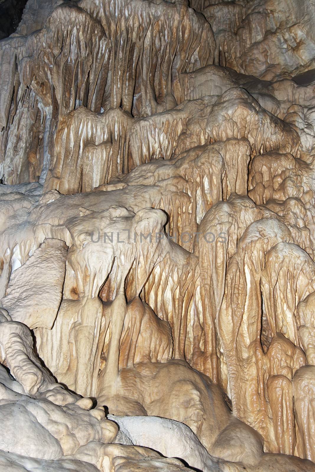 Javoricko stalactite caves are located in central Moravia, about 10 miles west of Litovle city. Underground cave system Javoricko a complex of corridors, domes and divides. Cave excel beautiful stalactite formations. The underground system of caves Javoricko consists of a complex of corridors, halls and gorges. They were created in the Isle of Devonian limestone and participated in their development stream Spranek. A substantial part of the cave was discovered in 1938. Javoricko, Moravia, Czech republic