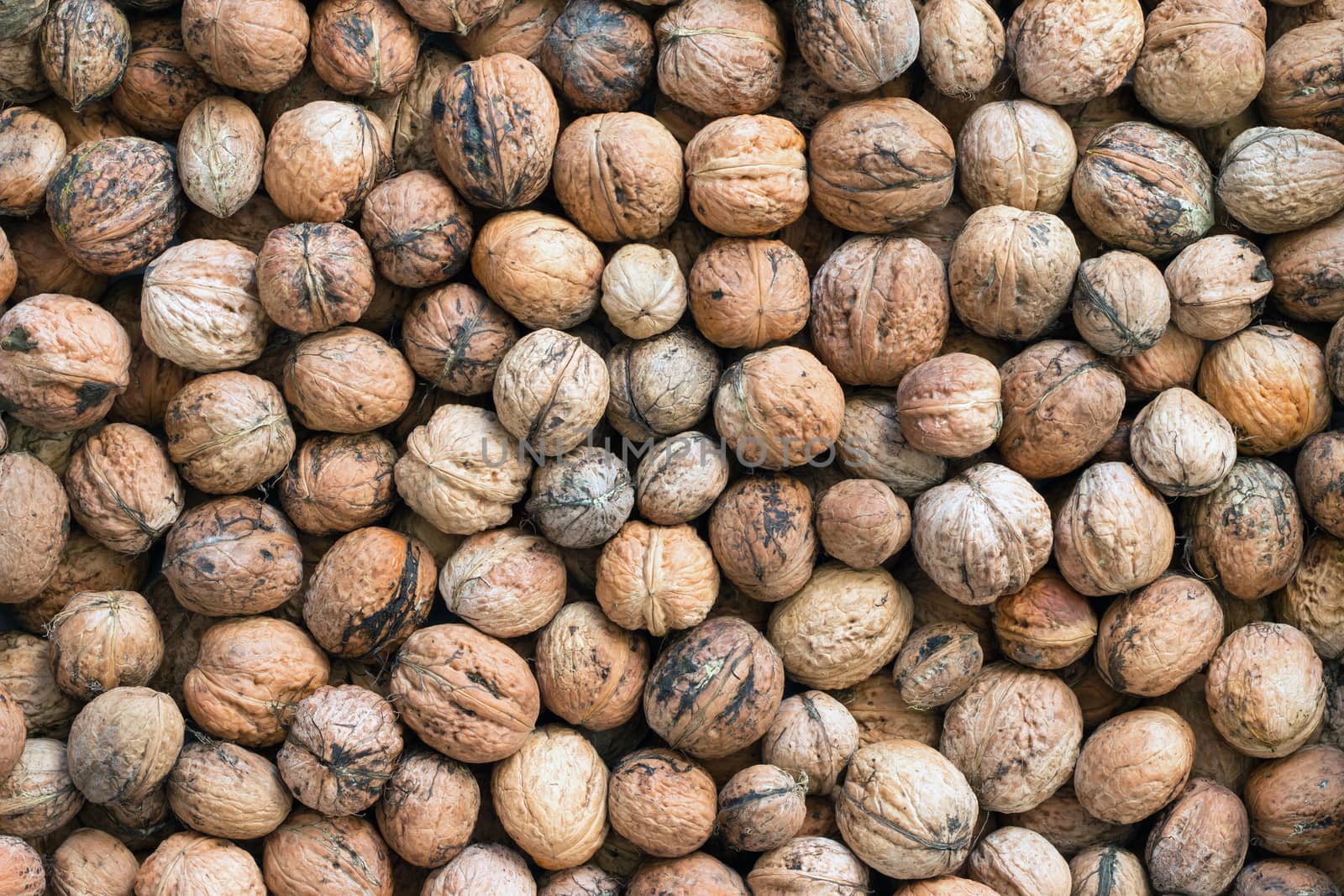 Shot of the heap walnuts  - autumn fruits