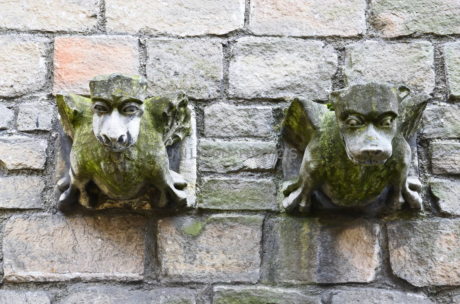 Architectual  Ancient stone gargoyle on the wall in York England
