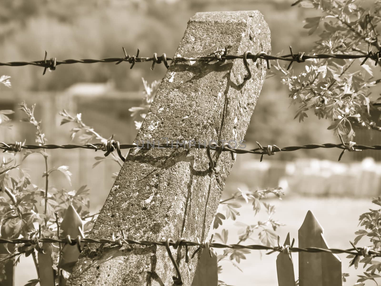 Security fence with barbed wire
