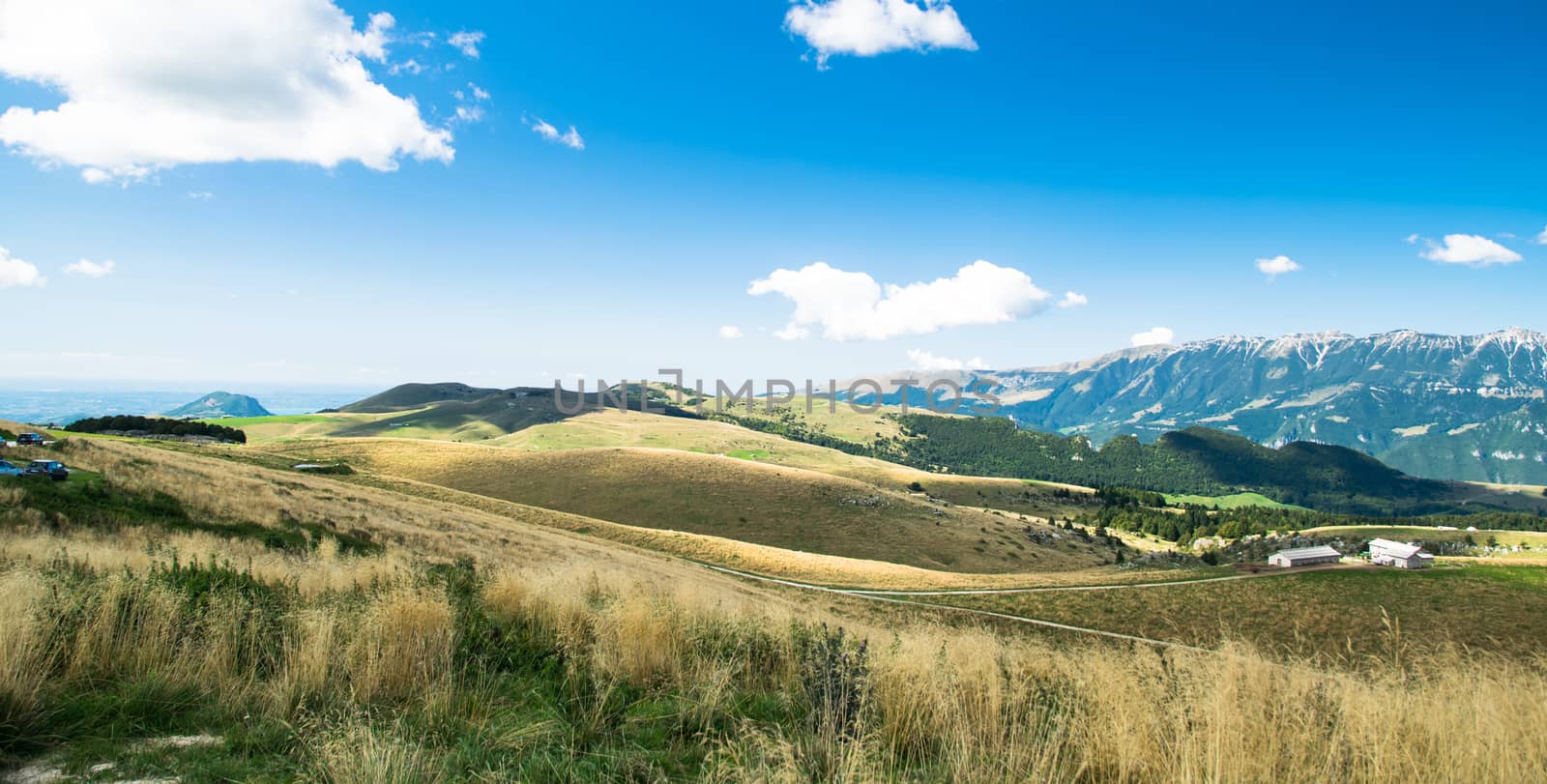 View of meadows in the mountains that create sinuous lines.