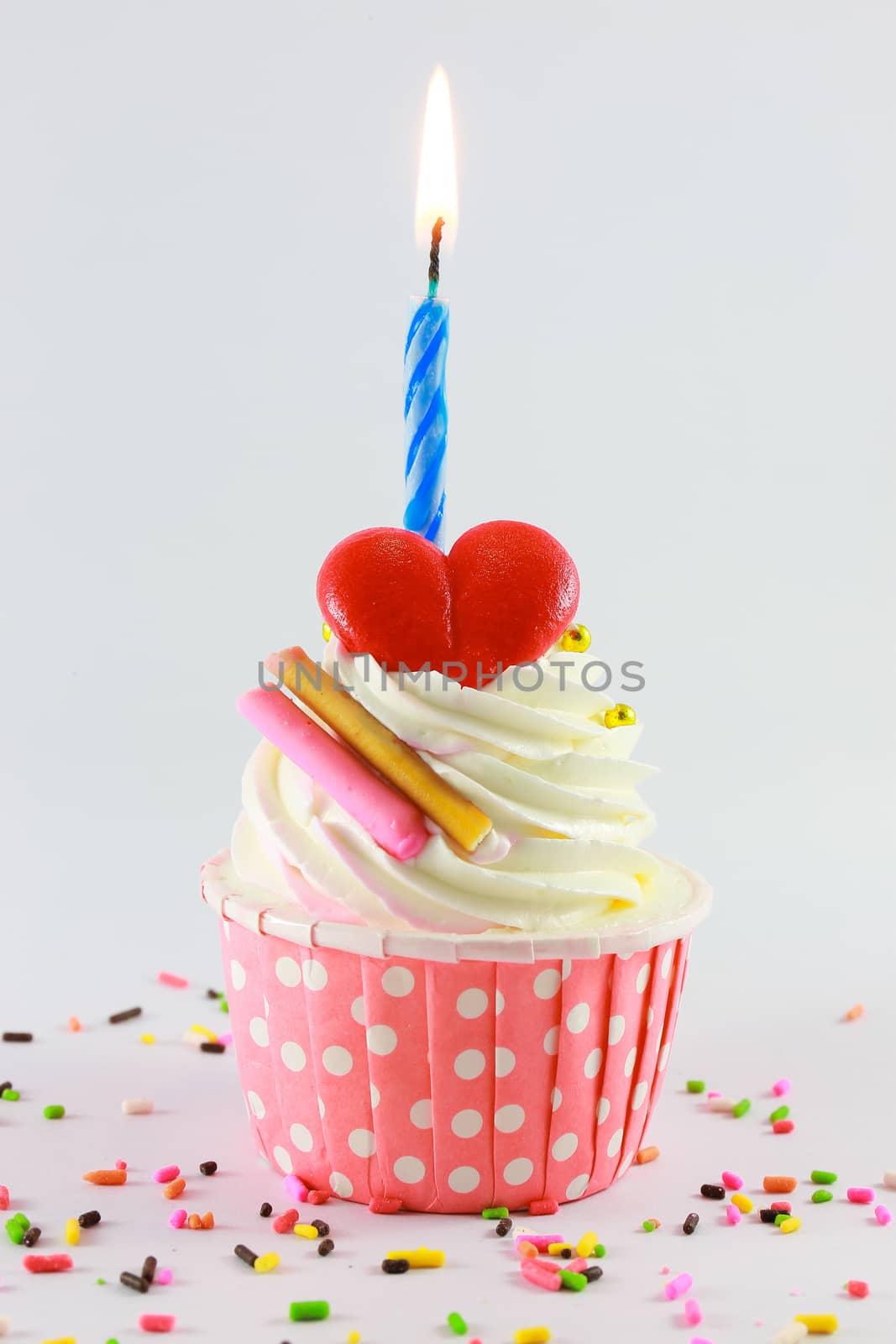 Birthday cupcake by powerbeephoto
