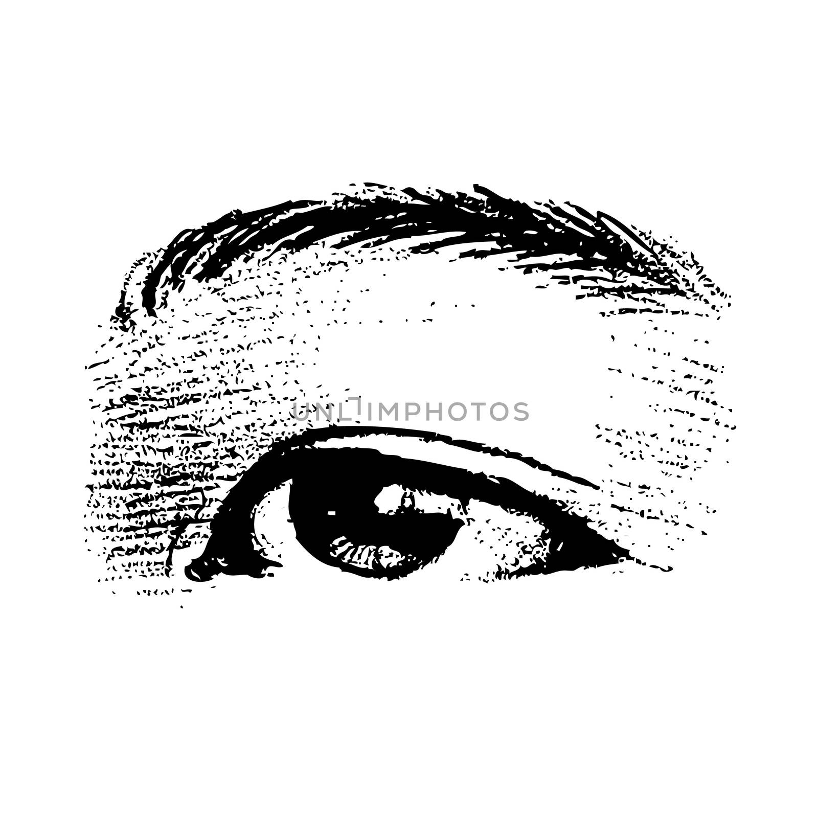 freehand sketch of left human eye hand drawn on white background