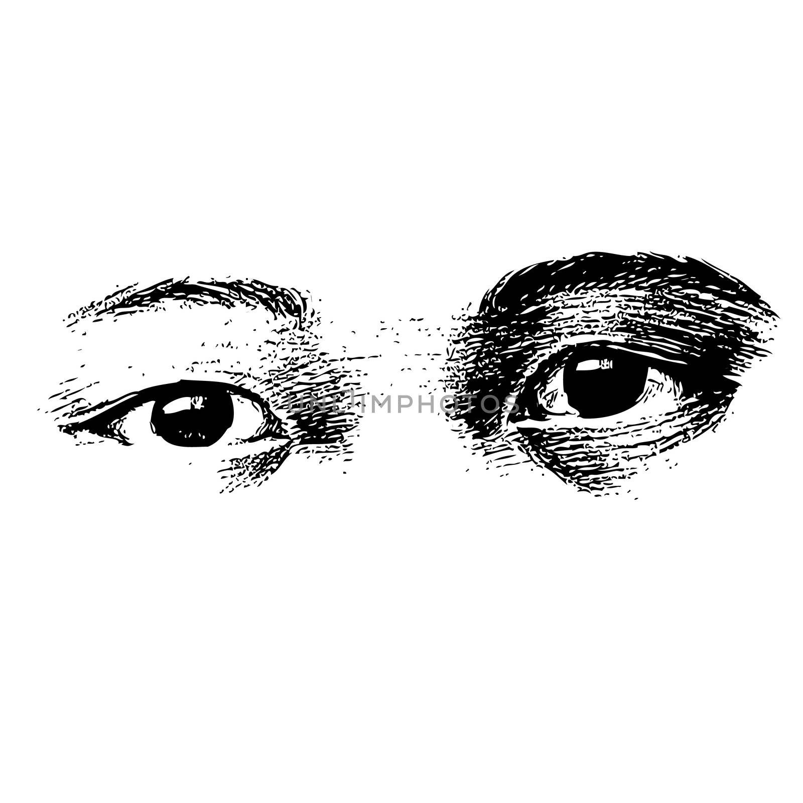 freehand sketch of human eyes hand drawn on white background