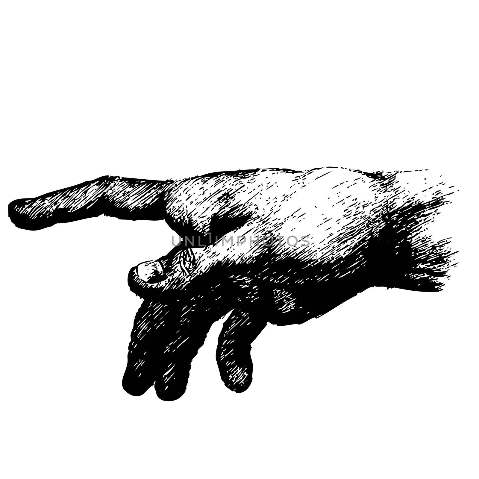 freehand sketch of human hand on white background, pointing finger