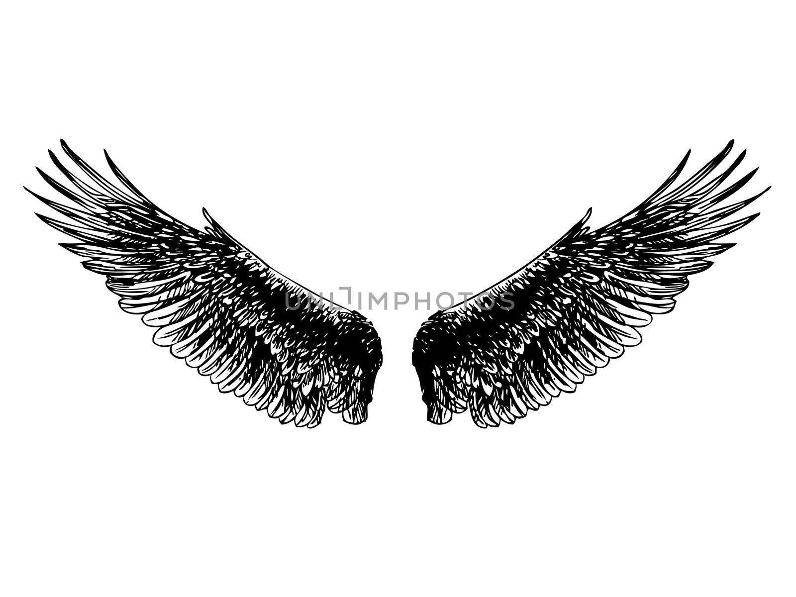freehand sketch, doodle hand drawn of angel wings