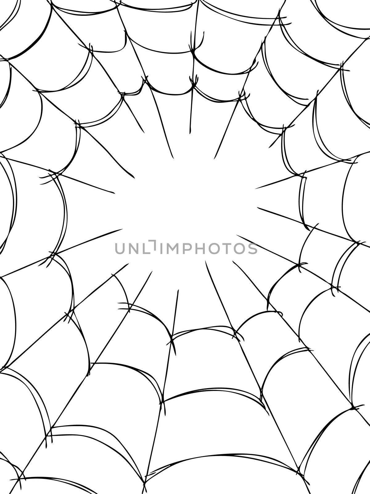 freehand sketch illustration of spider web, doodle hand drawn