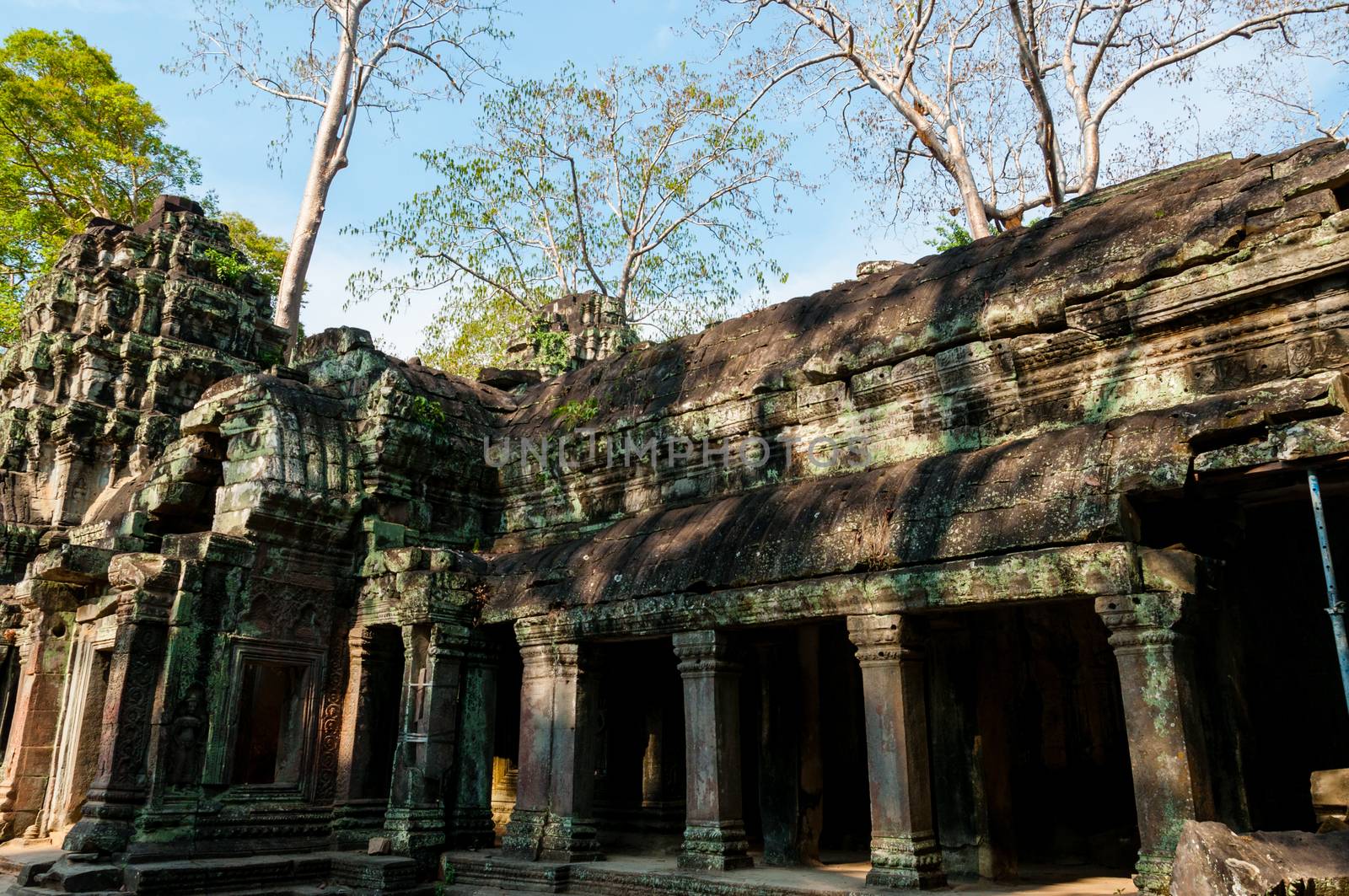 Stone temple Ta Prohm Angkor Wat Cambodia