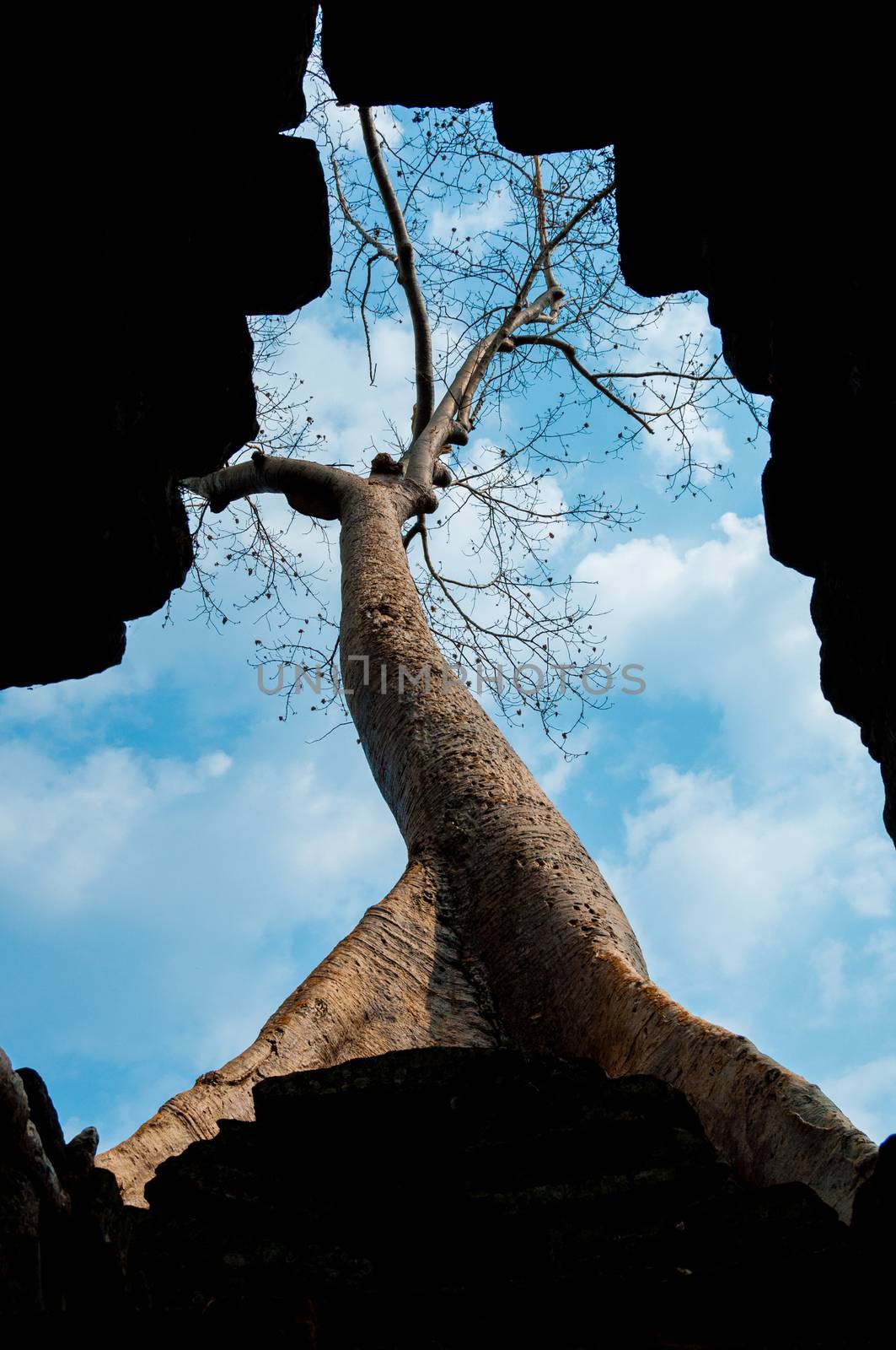 View through hole to tree temples of Angkor Wat