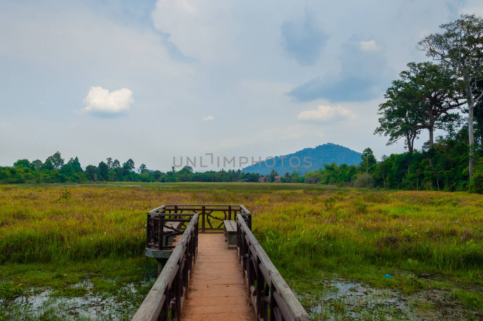 Jetty in the green with mountain in background at Angkor Wat