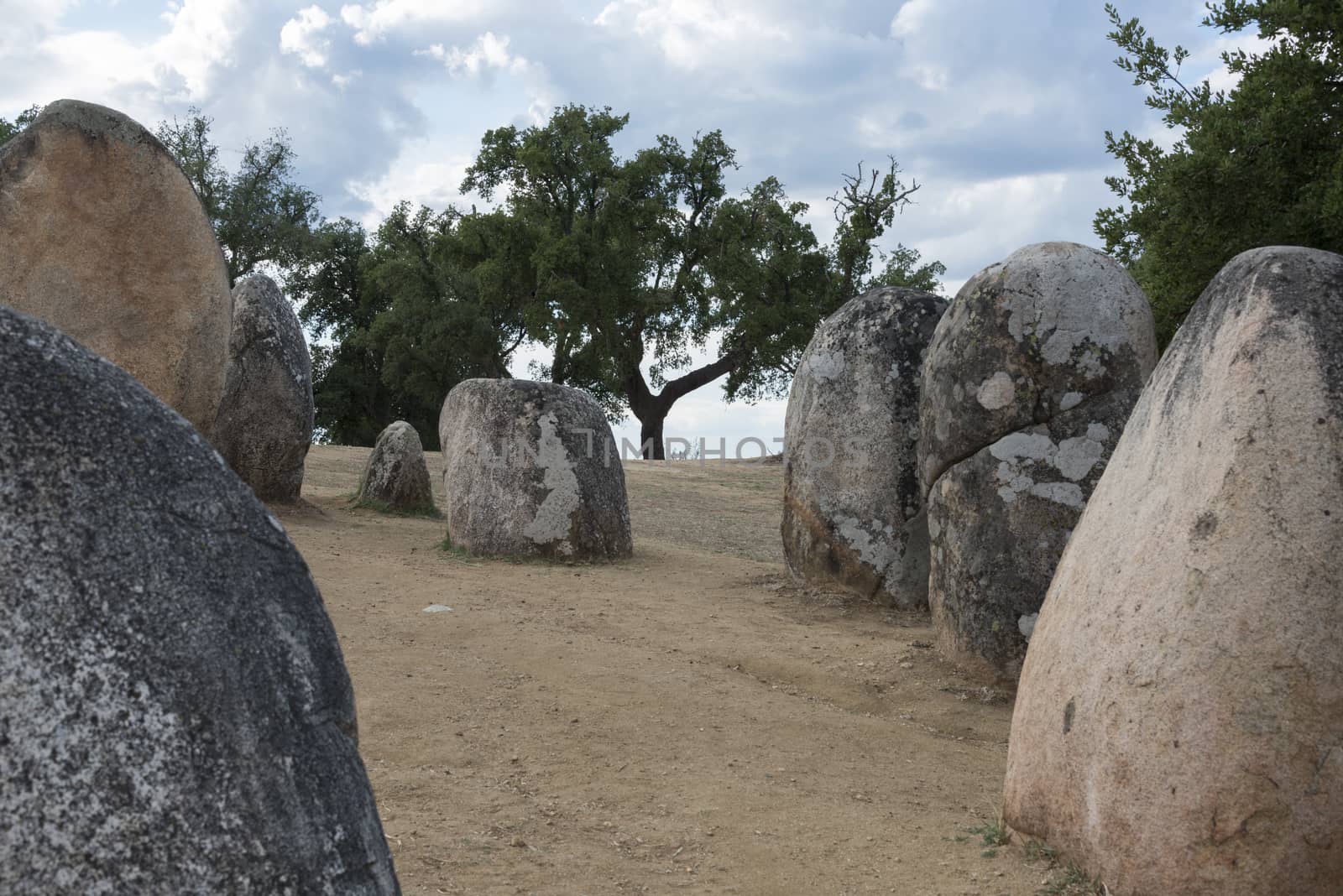 Menhirs in megalithic monument of Cromelech dos Almendres - Evora -Portugal