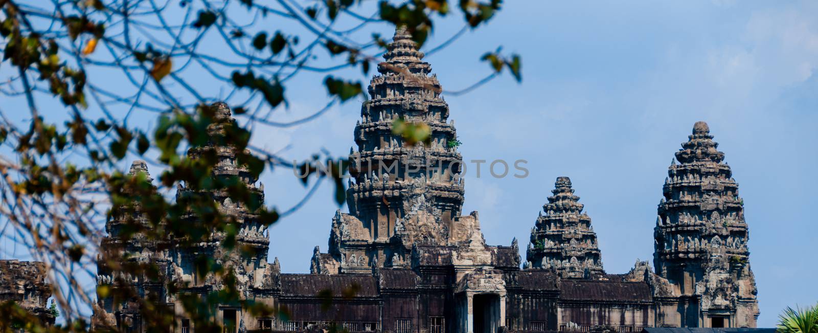 Leaves in front of Angkor Wat Cambodia