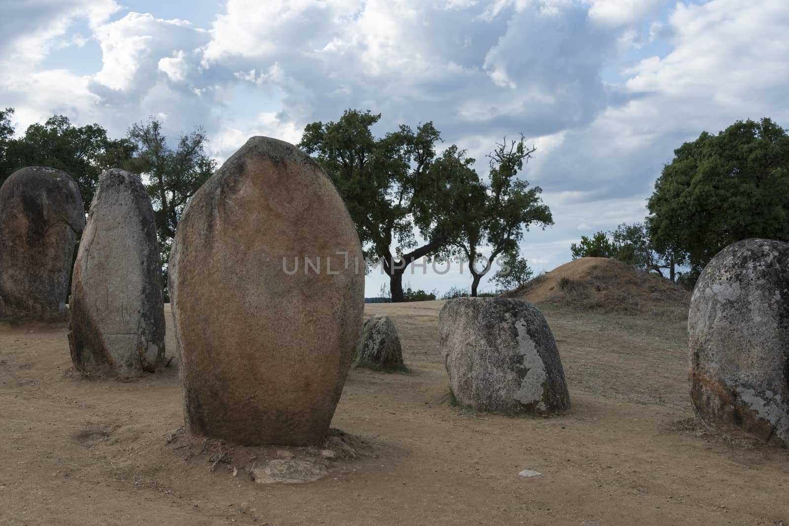 Menhirs in megalithic monument of Cromelech dos Almendres - Evora -Portugal