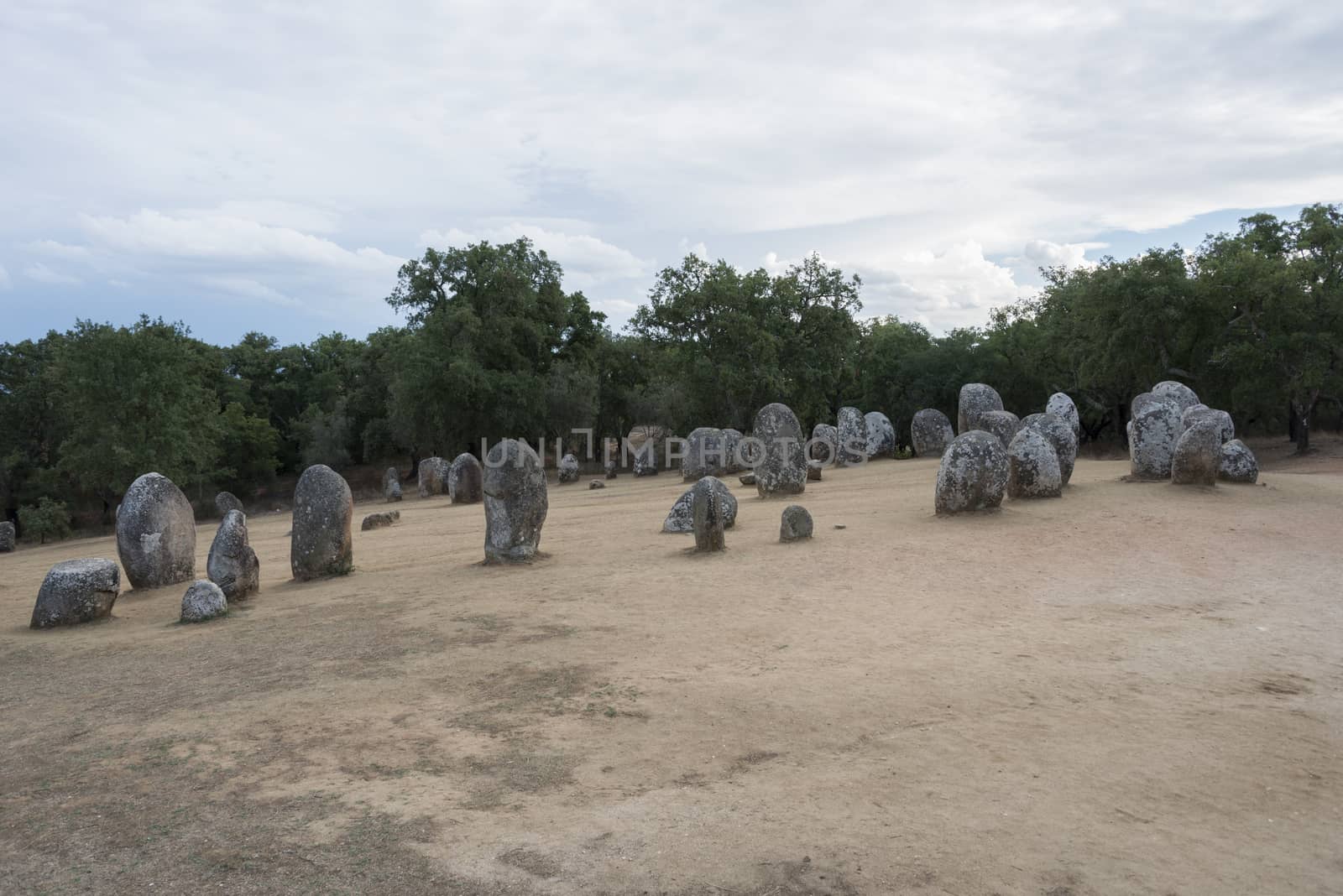 Menhirs in megalithic monument of Cromelech dos Almendres - Evora -Portugal